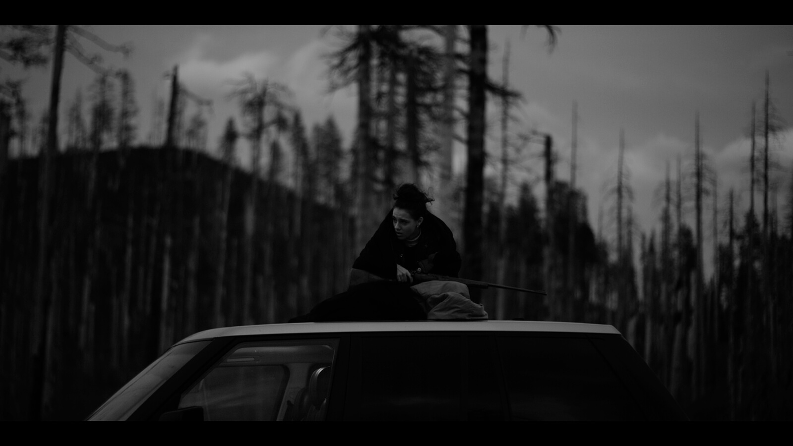 Cold coast - Secret Sun